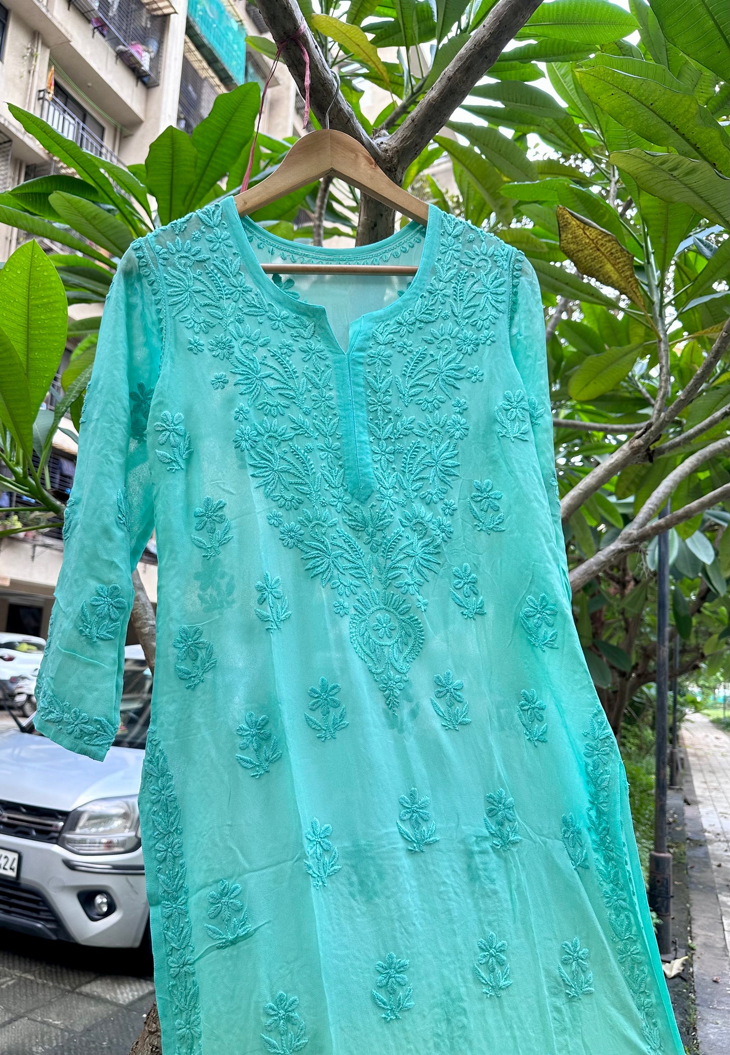 Falguni georgette Chikankari Kurta